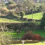 4 Bed In Raw Oc-c30341 Vakantiehuis