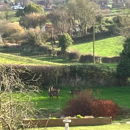 4 Bed In Raw Oc-c30341 Holiday home