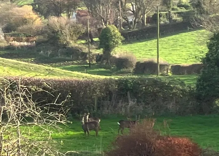 4 Bed In Raw Oc-c30341 Holiday home